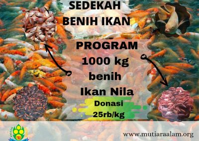 Sedekah 1000kg Benih Ikan